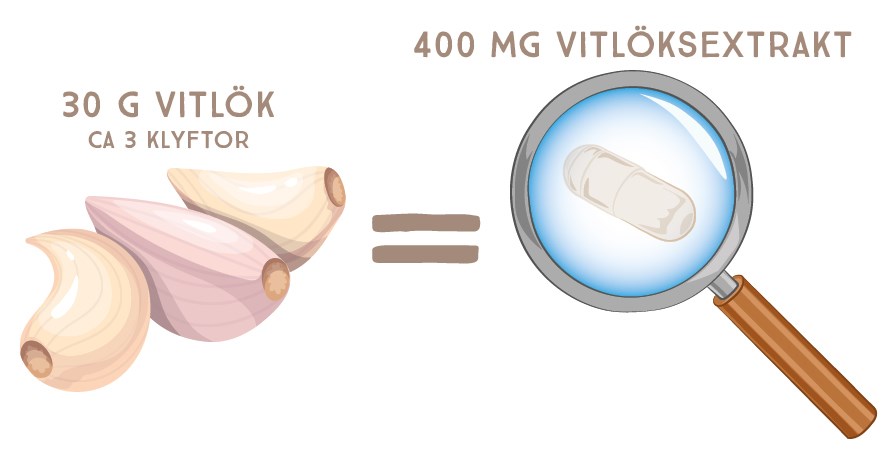 En kapsel Healthwell Hvidlg svarer til cirka 3 fed hvidlg.